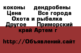 коконы    дендробены › Цена ­ 25 - Все города Охота и рыбалка » Другое   . Приморский край,Артем г.